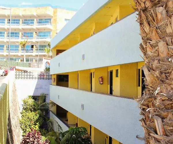 Bougainvillea Bamira